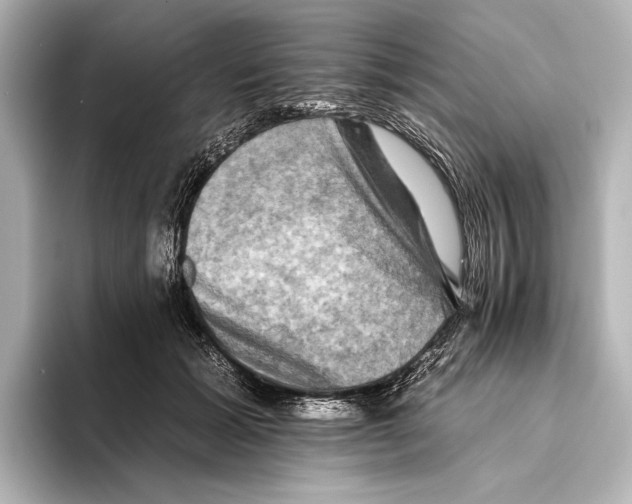 X0000095670605200802051232