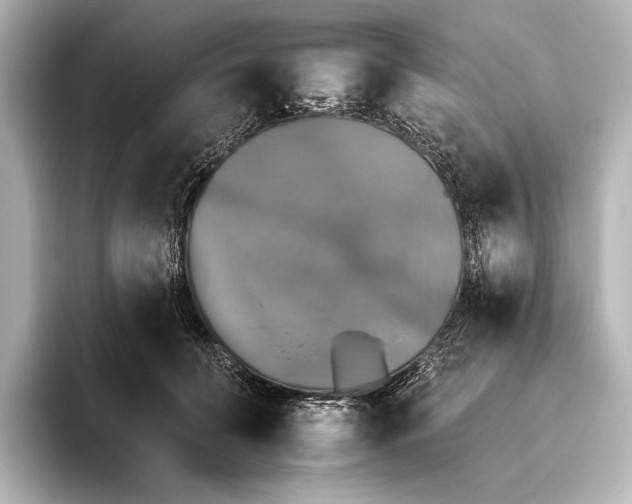 X0000095670606200802051232