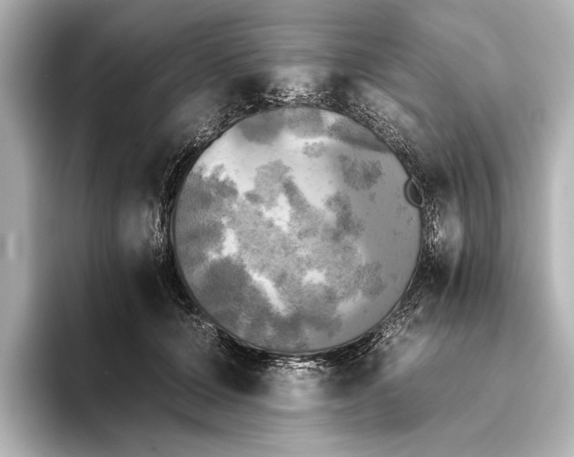 X0000095670607200802051232