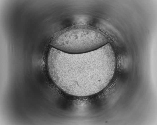 X0000095670608200802051232