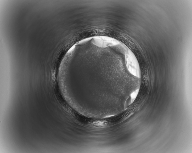 X0000095670610200802051232