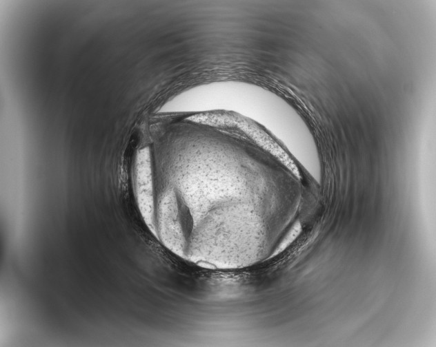 X0000095670613200802051232