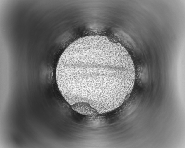 X0000095670615200802051232