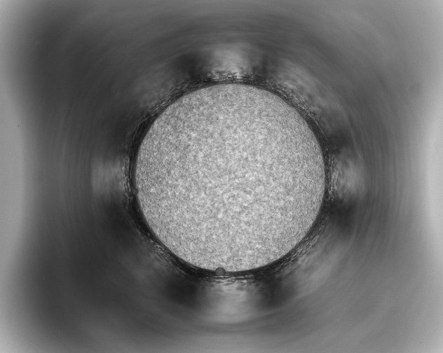 X0000095670616200802051232