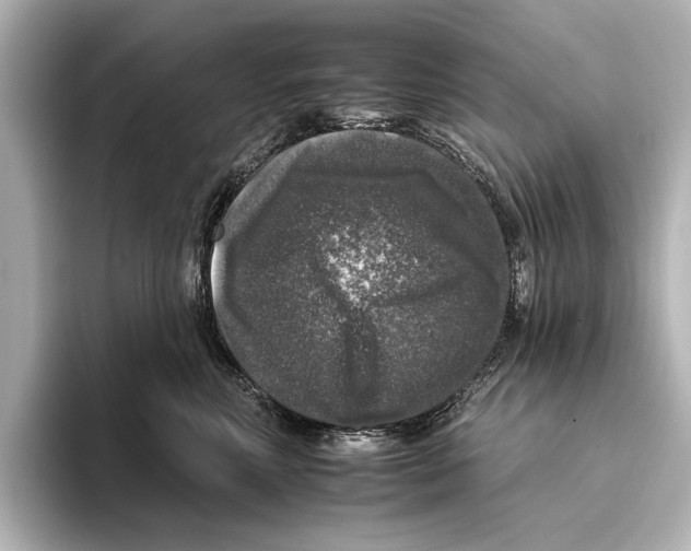 X0000095670618200802051232