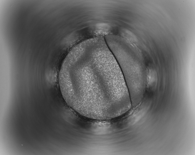 X0000095670619200802051232