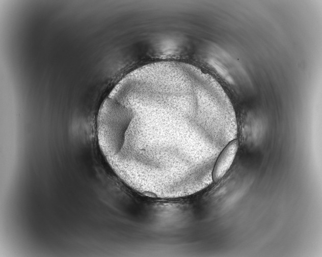 X0000095670620200802051232