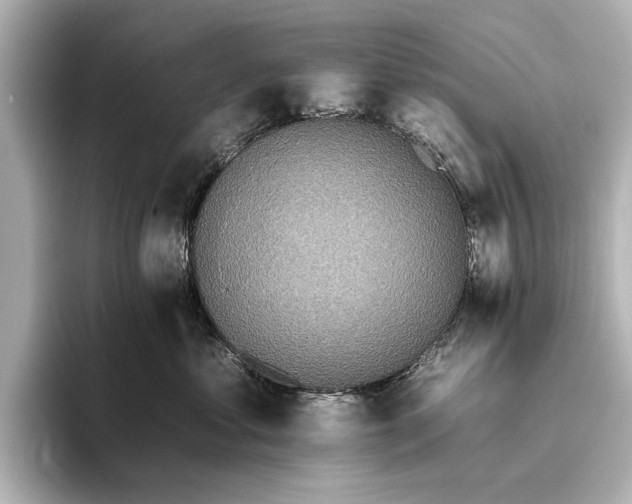 X0000095670621200802051232