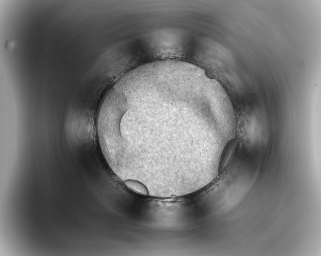 X0000095670622200802051232