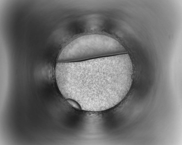 X0000095670624200802051232