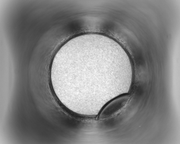 X0000095670625200802051231