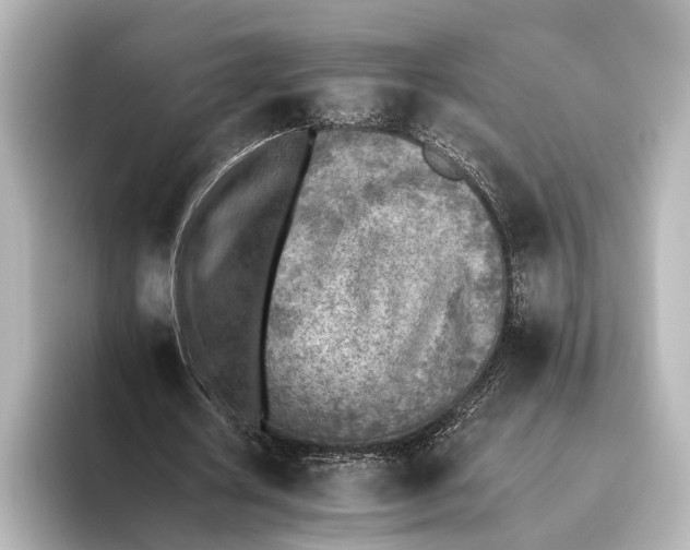 X0000095670626200802051231