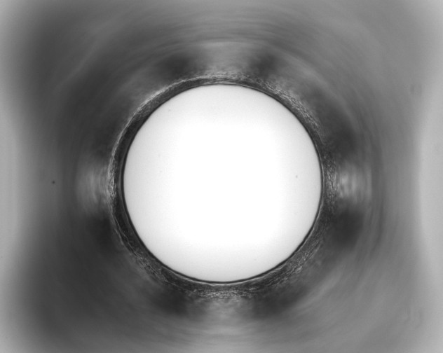 X0000095670628200802051231