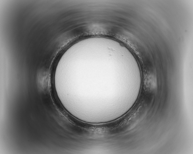 X0000095670629200802051231