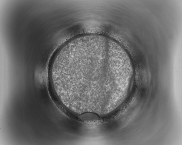 X0000095670630200802051231