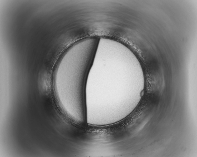 X0000095670631200802051231