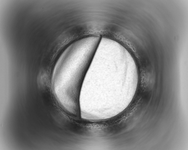 X0000095670633200802051231