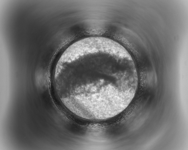 X0000095670634200802051231