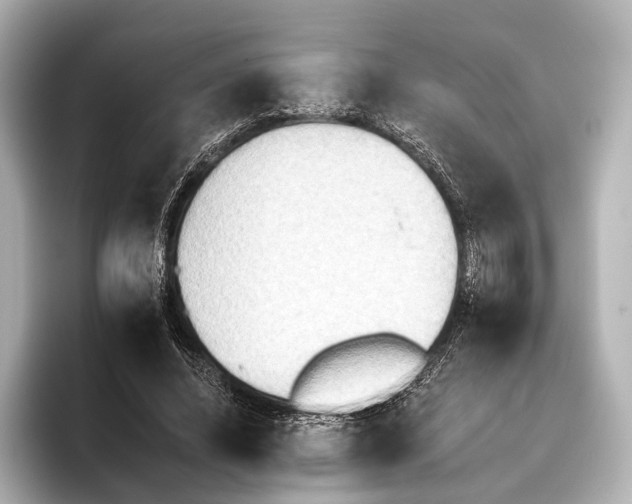 X0000095670636200802051231