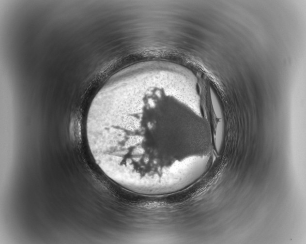 X0000095670637200802051231