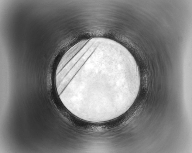 X0000095670638200802051231