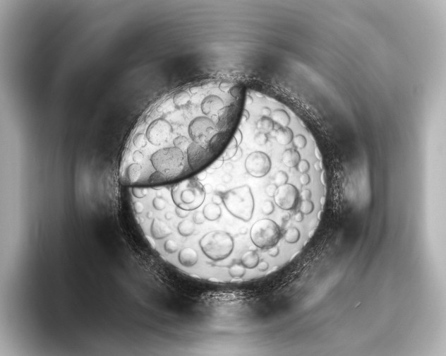 X0000095670639200802051231