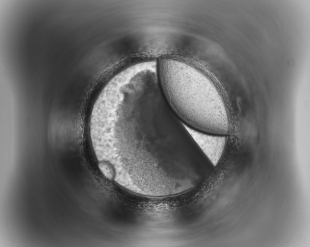 X0000095670640200802051231