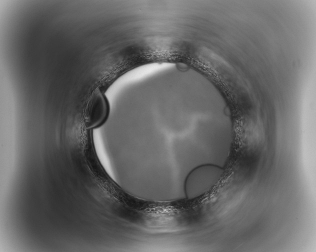 X0000095670642200802051231