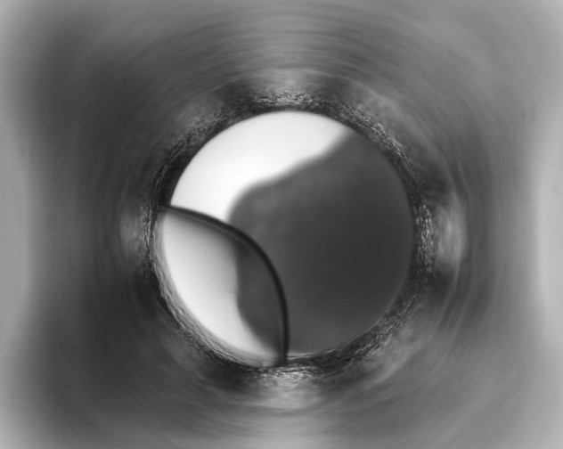 X0000095670643200802051231