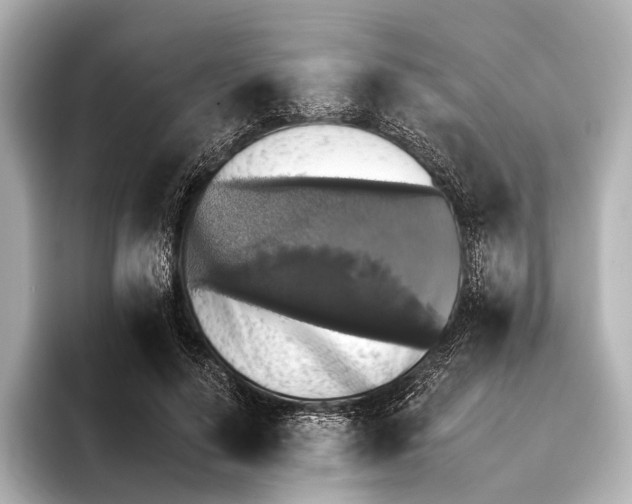 X0000095670644200802051231