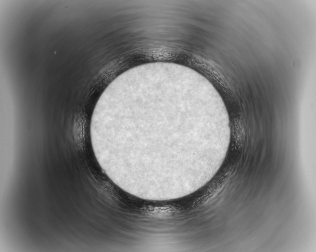 X0000095670645200802051231