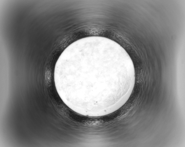 X0000095670646200802051231