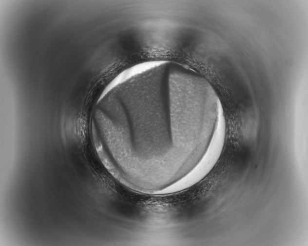 X0000095670648200802051231