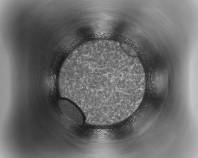 X0000095670649200802051231