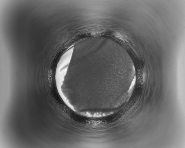 X0000095670650200802051231