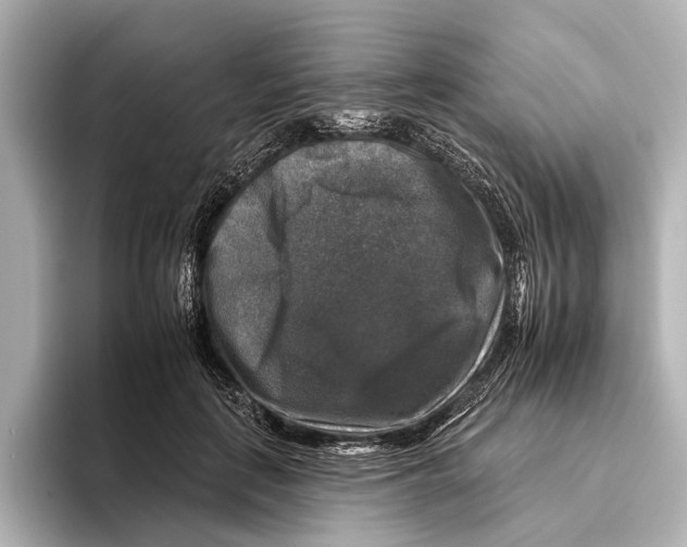 X0000095670651200802051231