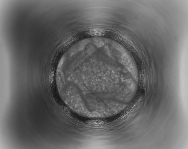 X0000095670652200802051231