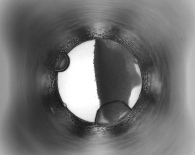 X0000095670653200802051231