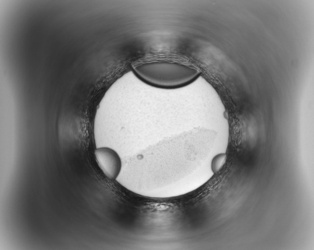 X0000095670654200802051231