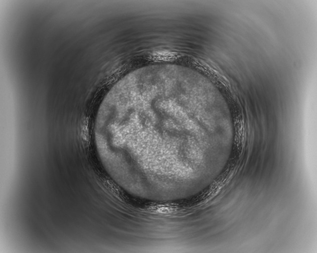 X0000095670655200802051231