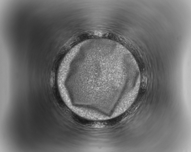 X0000095670656200802051231