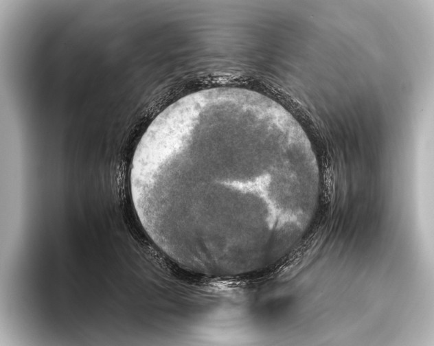 X0000095670657200802051231