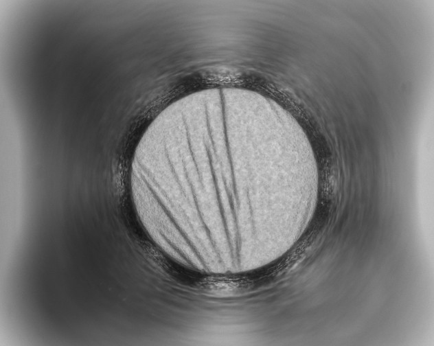 X0000095670658200802051231