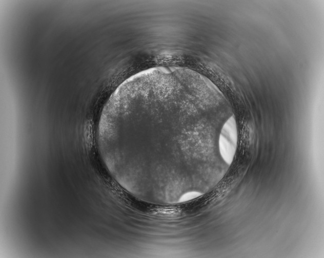 X0000095670659200802051231