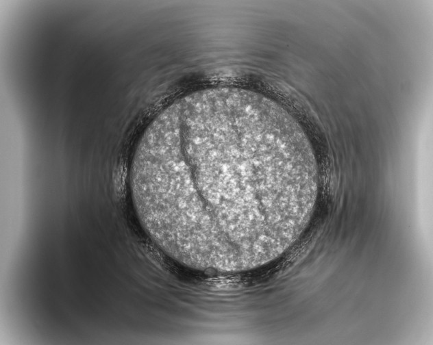 X0000095670660200802051231