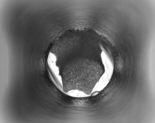 X0000095670661200802051231