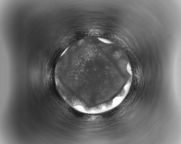 X0000095670663200802051231