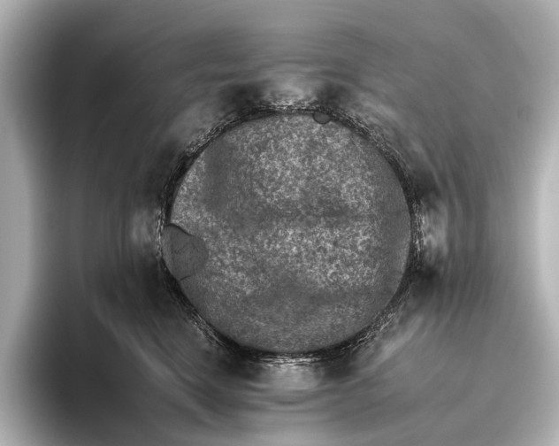 X0000095670664200802051231