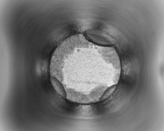 X0000095670665200802051231