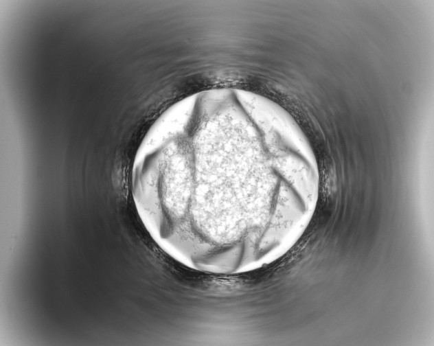 X0000095670666200802051231